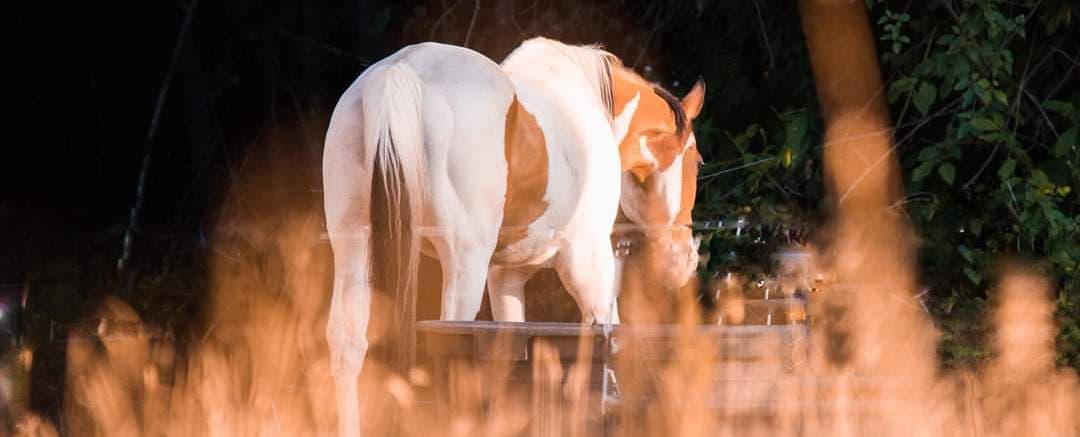 Awakenings Ministry - Image 6