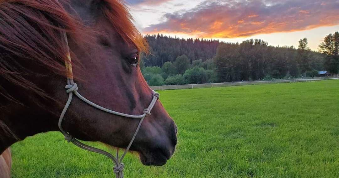 Awakenings Ministry - Image 7