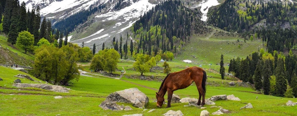 Harvest Multiplication Movement - Image 3