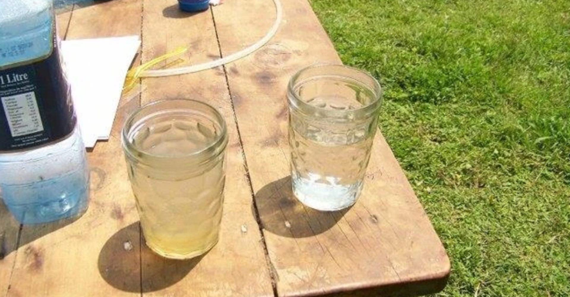 Pure Water - Image 7