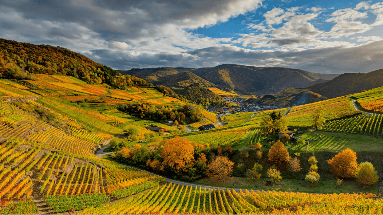 Grapevine Ministries ministry