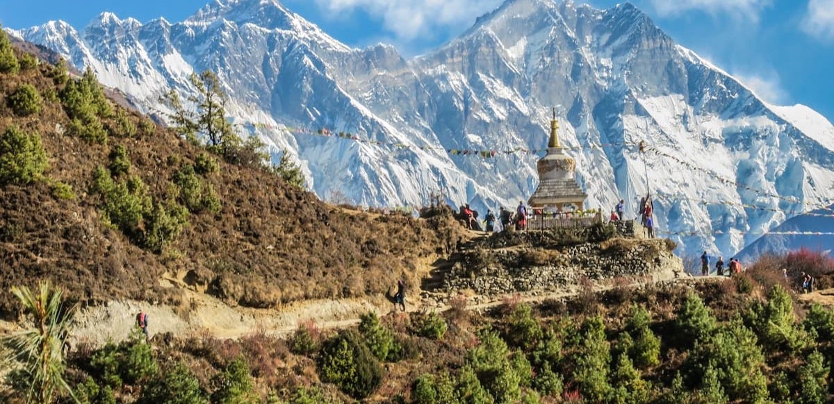 Harvest Multiplication Movement - Image 2